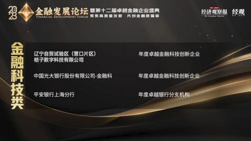 迎挑戰 創新績 桔子數科榮獲“年度卓越金融科技創新企業”彰顯實力